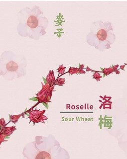 麥子-洛梅 Roselle Sour Wheat, 330ml - iEverydayWine